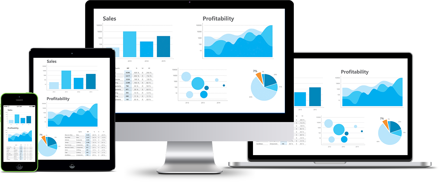 Business Intelligence CPM